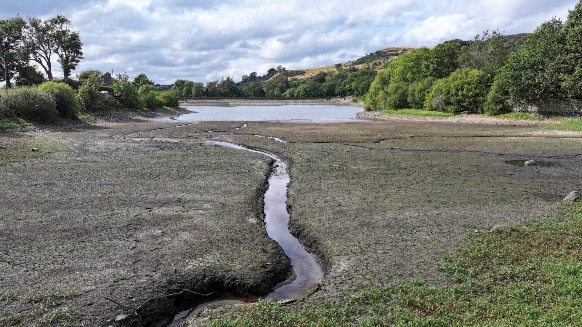 The obstacles to Reform’s plan to end hosepipe bans for good