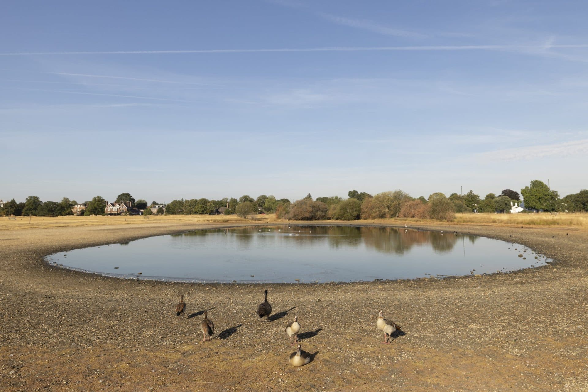 What UK can learn from Europe about using water bills to fight drought