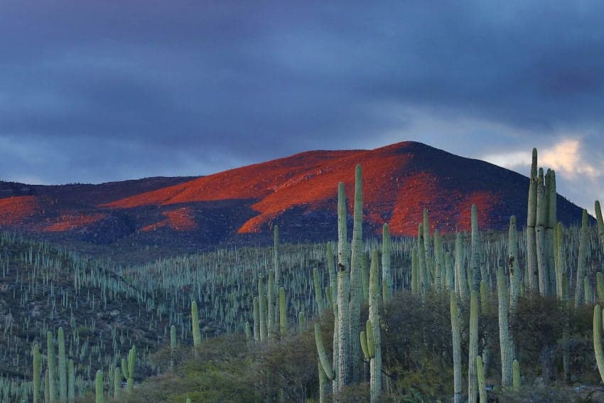 How to Read a Mexico Travel Advisory Without Cancelling Your Trip