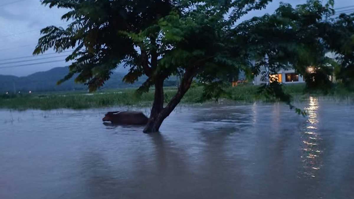 2 Antique towns shift to distance learning due to monsoon rains