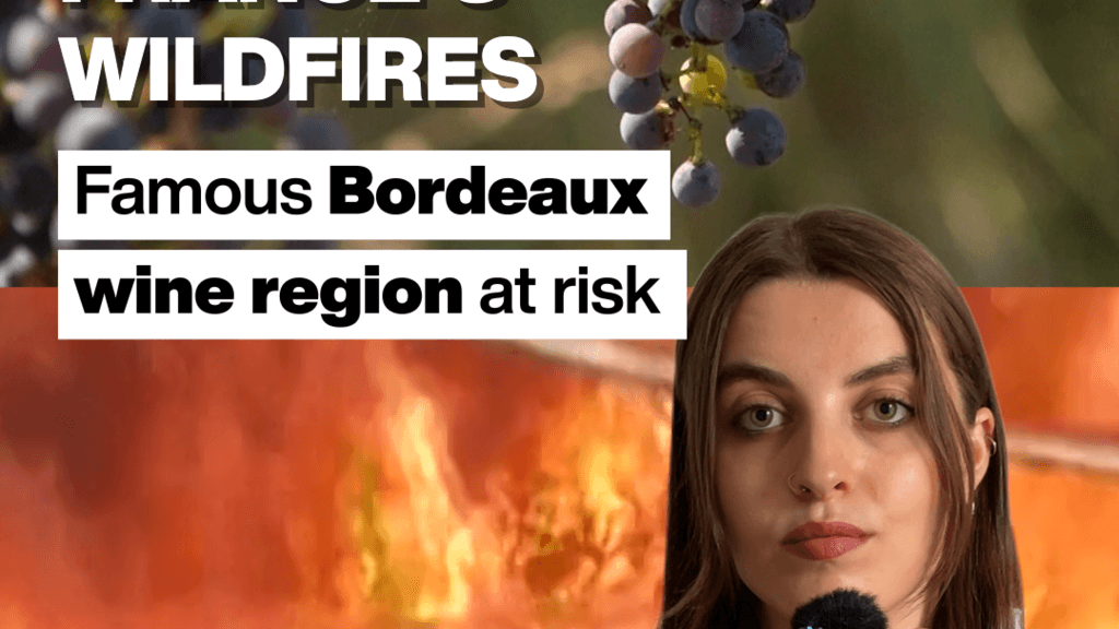 Wildfires threaten France's historic Bordeaux wine region
