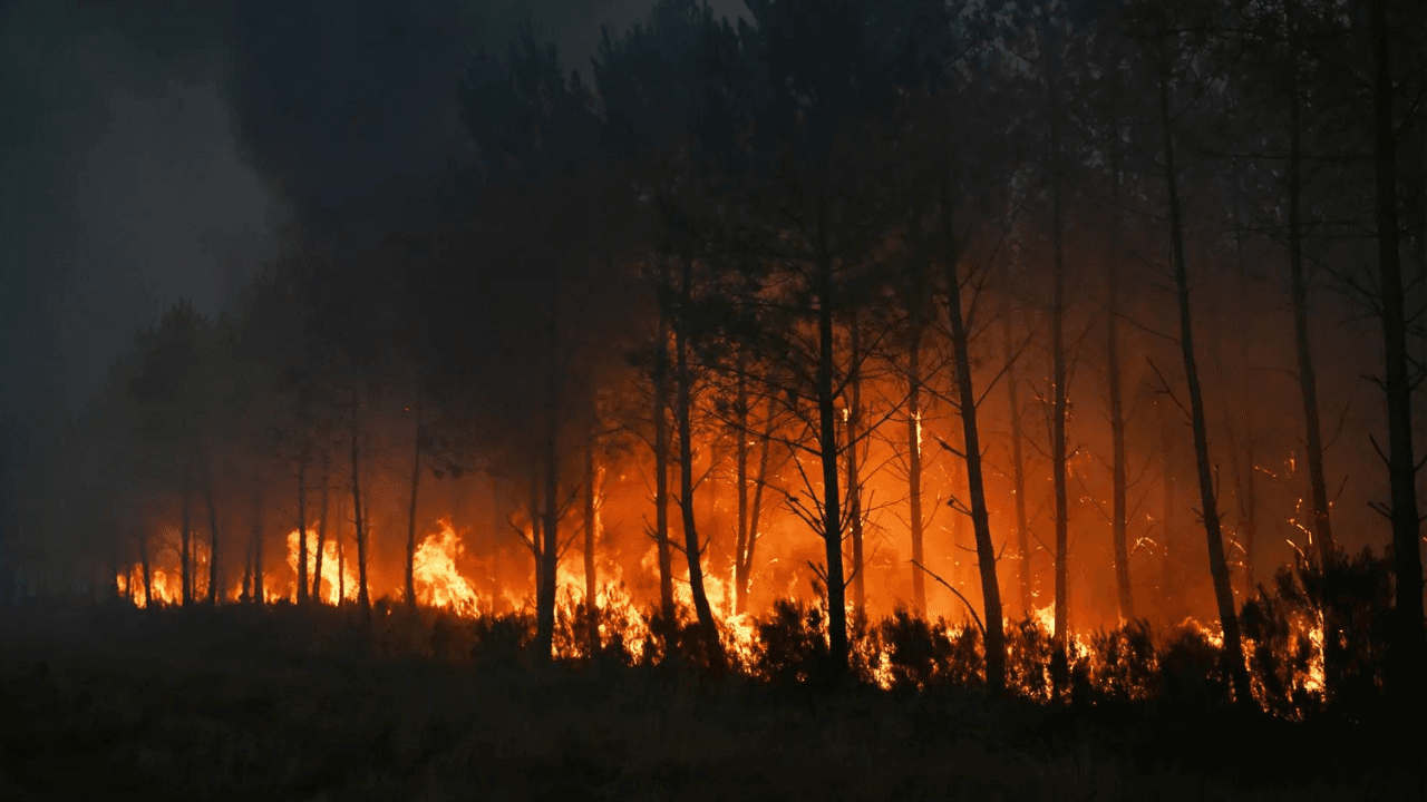 France, Spain on edge as wildfires force 320,000 evacuations