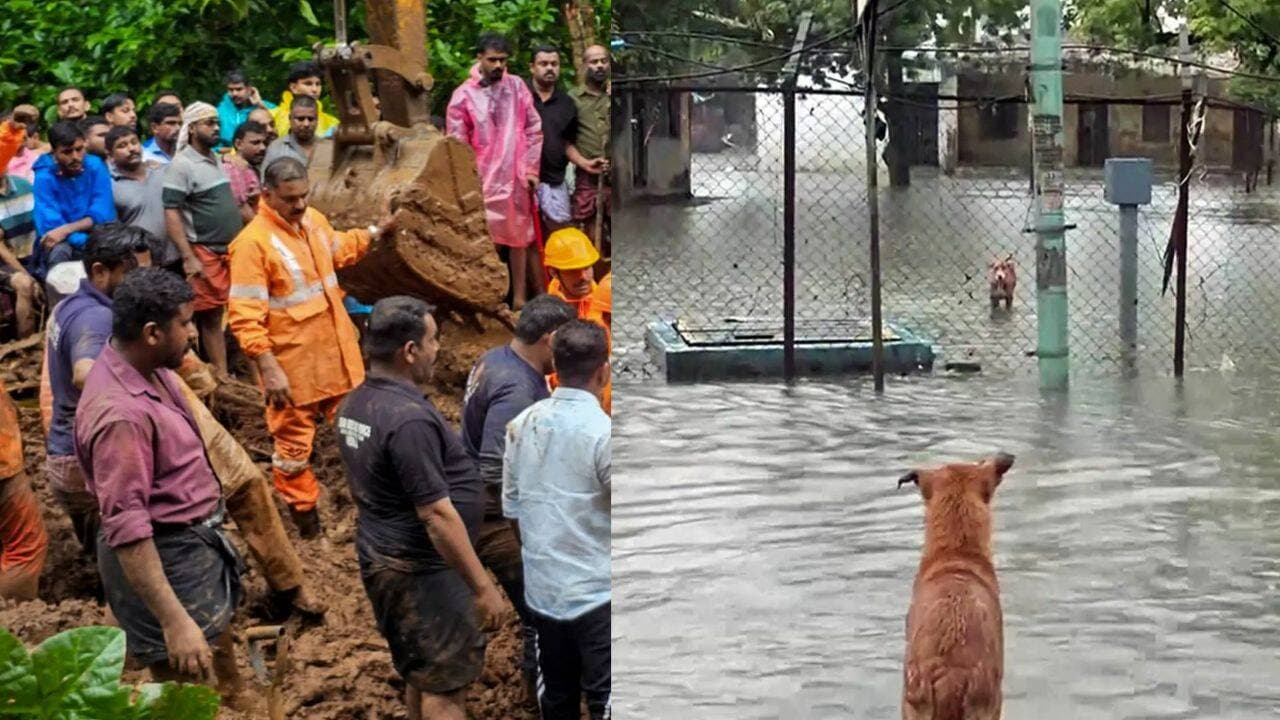 Heavy rain triggers landslips in Kasaragod
