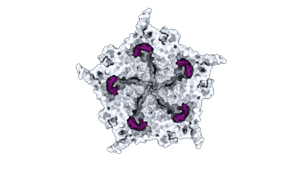 Cancer to Superbugs: What AI-Designed Viruses Could Be Used For