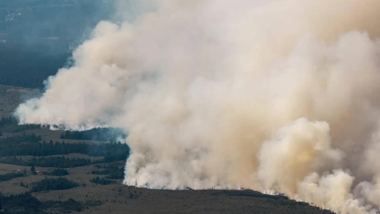 3,000 hectares up in flames: Belgium battles its biggest wildfire on record