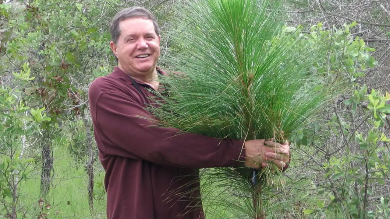 Man bought 51,000 acres of degraded Florida land and turned it into restoration