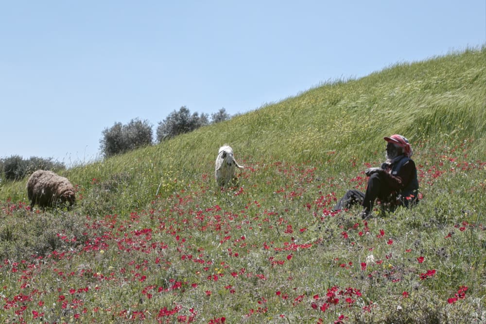 Odd Slice Films Boards Documentary ‘Concrete Land’ Ahead of Locarno Premiere (EXCLUSIVE)