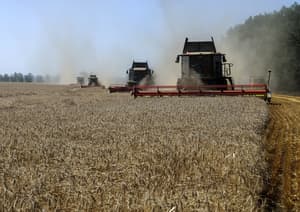 Ukraine, Moldova consider shipping grain by rail through Moldova, sources say