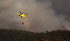 Firefighters struggle to put out wildfire in southwestern Spain