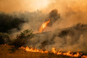 EU sends firefighting helicopters to Serbia