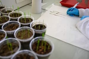World's soils deteriorating while solutions go unused: UN