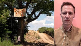Bulldozers Clear Arizona’s Protected Desert as New Border Wall Constructed