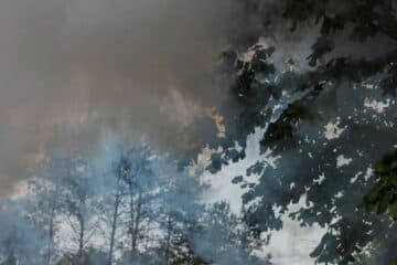 Video: Large wildfire burns in Noord-Limburg; Trains halted between Nijmegen and Venray