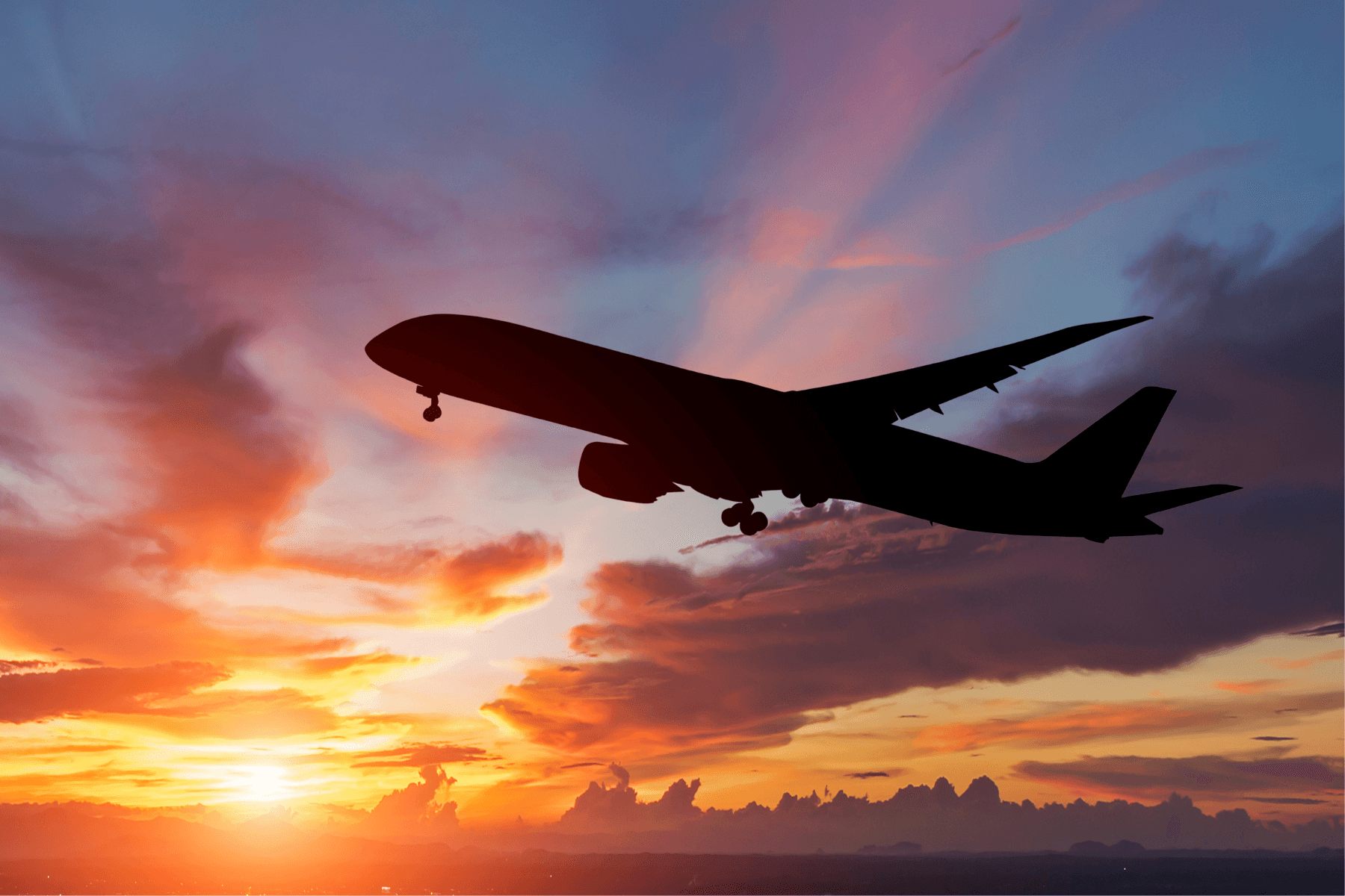 Travel firm selling trips to popular destination goes bust as all holidays cancelled