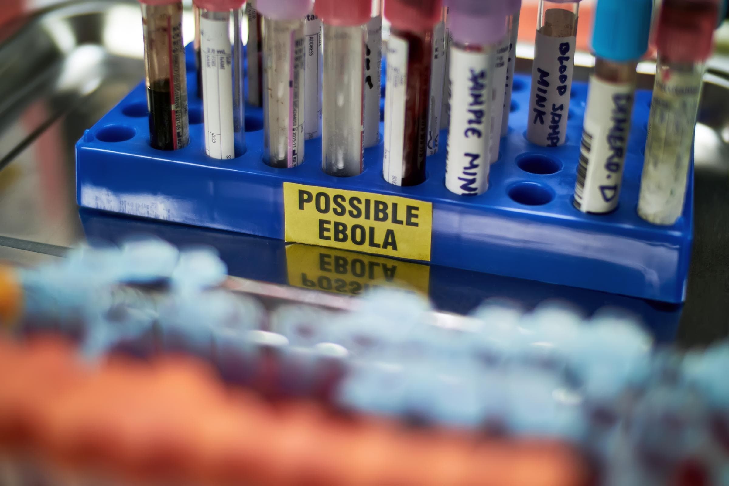 Glasgow scientists join urgent Ebola vaccine research as outbreak intensifies
