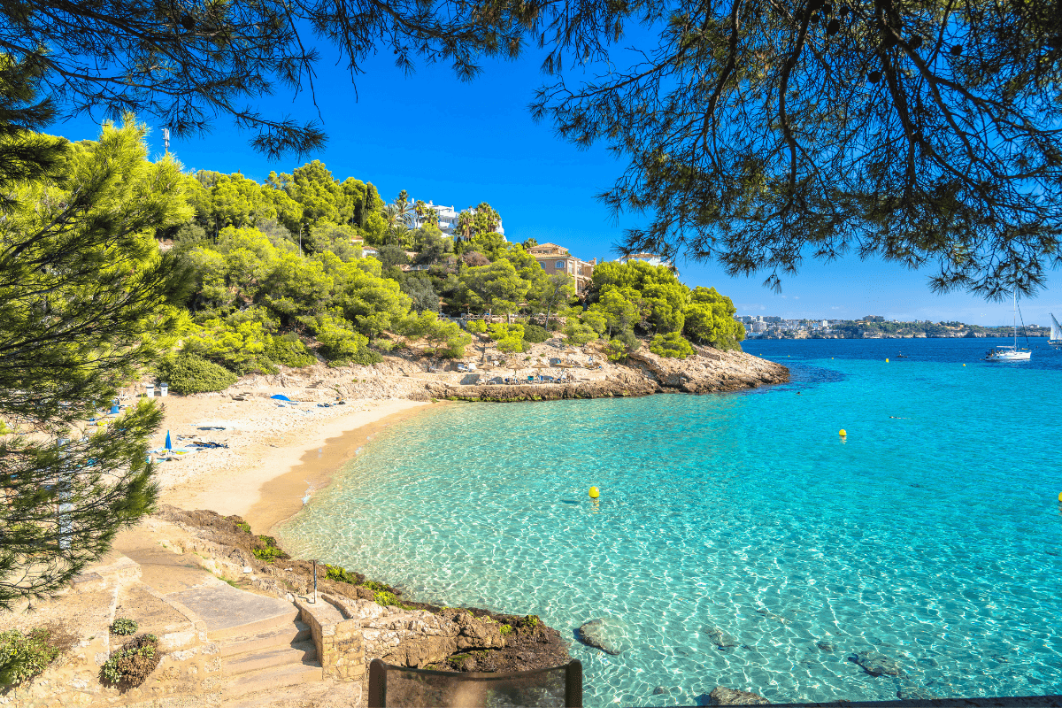 Brits warned about ‘biting fish’ at beaches on popular Spanish island