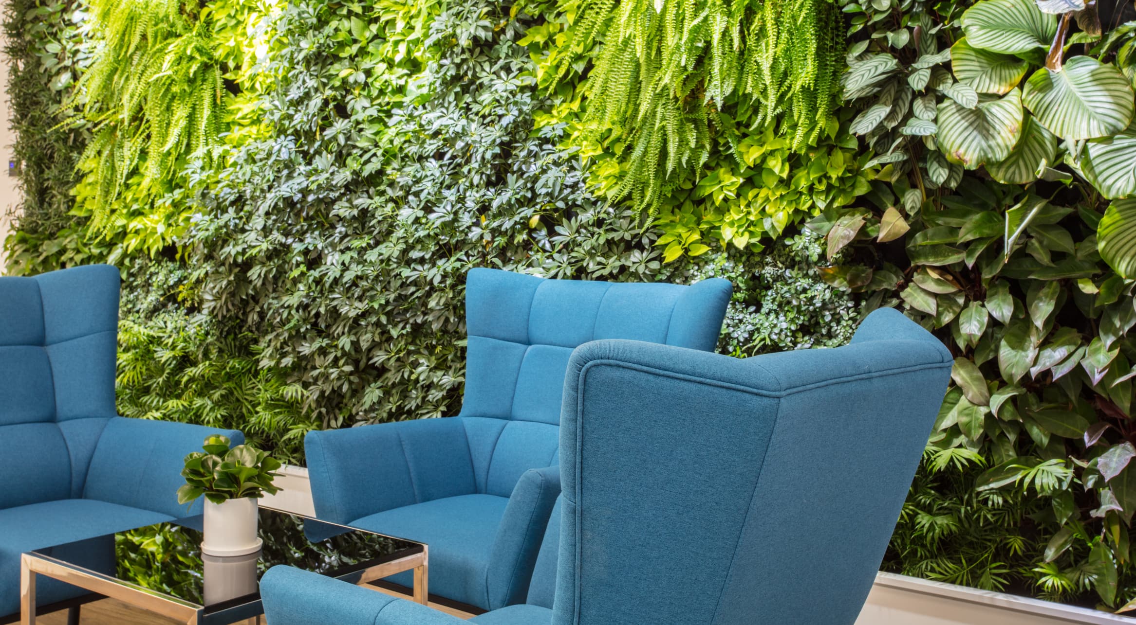 Glasgow garden room expert reveals the mistakes that can cost homeowners thousands