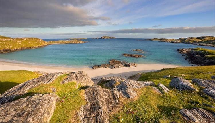 MSP demands legal aid review as island charities face ruin in café dog ban case