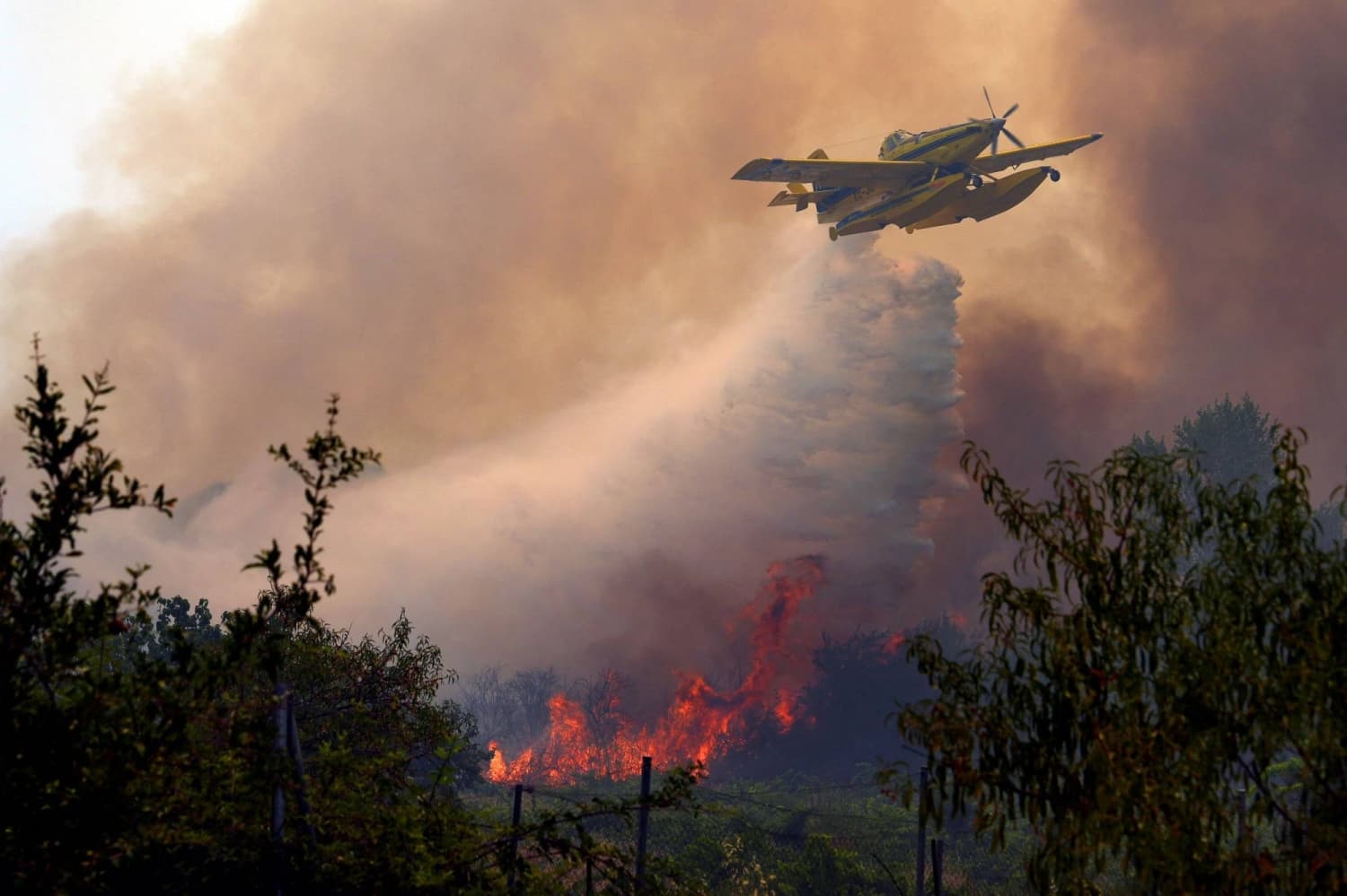 Wildfires threaten Bordeaux as France and Spain battle blazes