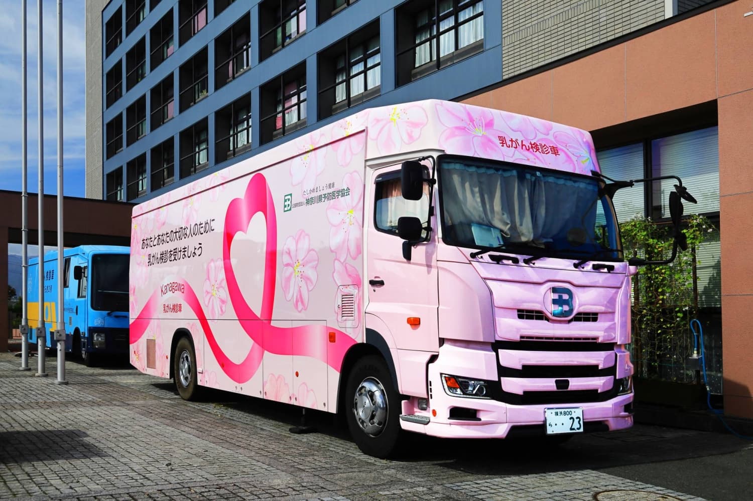 Japan release of new breast cancer, diabetes drugs delayed over pricing