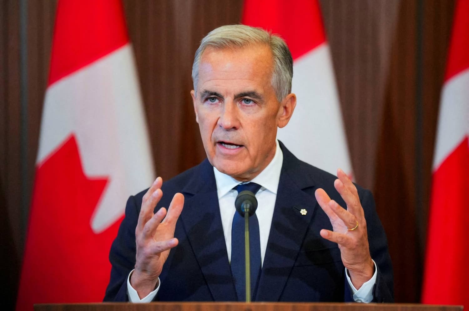 Carney faces ticking clock on Canadian support for tough tactics with Trump