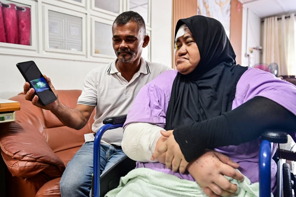 MPV driver calls for improved LPT2 safety measures after elephant collision
