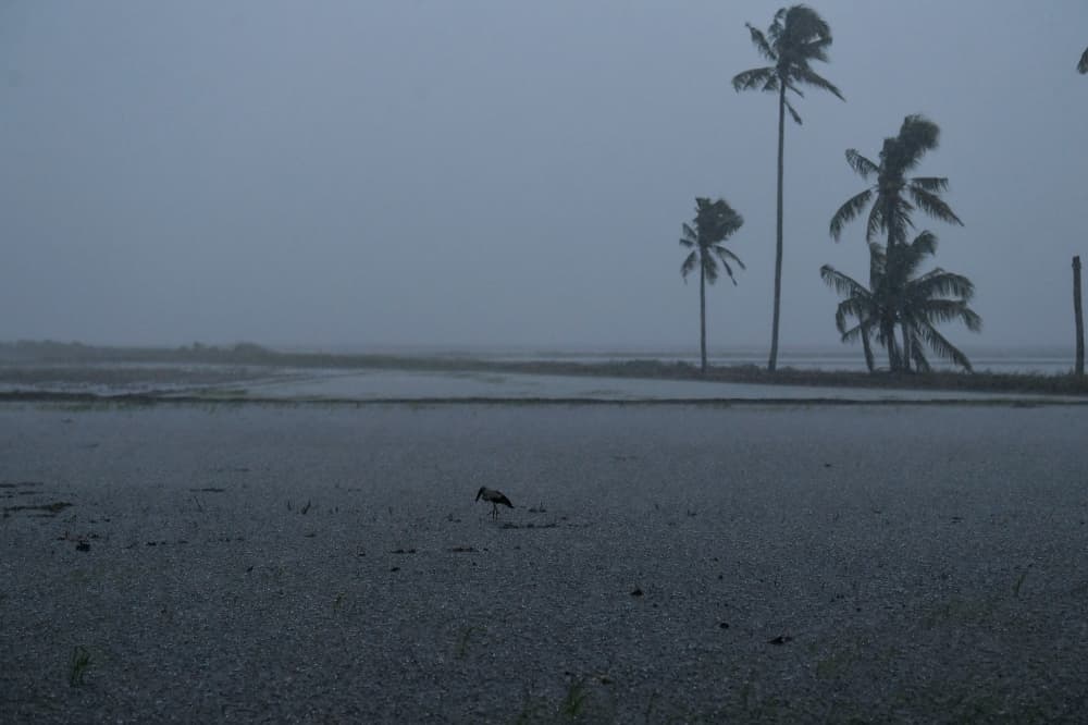 MetMalaysia warns thunderstorms, heavy rain and strong winds in Kelantan, Sarawak, Sabah until 7pm