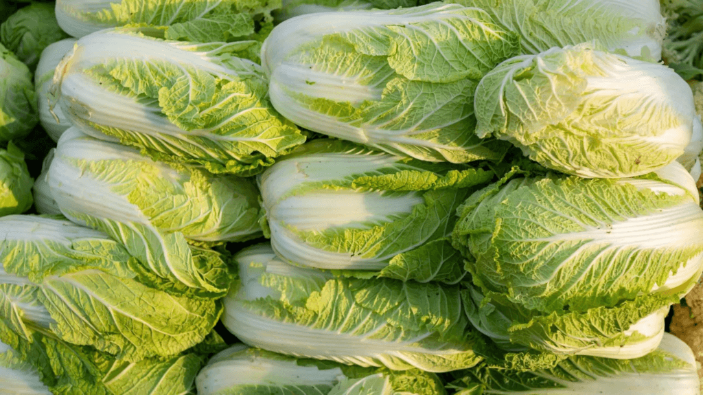 China probes use of formaldehyde to keep cabbages fresh