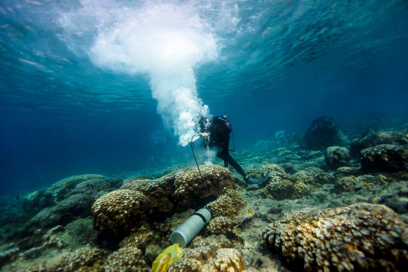 Can “super coral” and cooling the sea, save reefs from climate change?