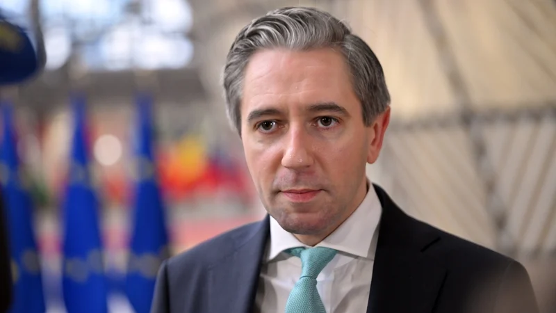 Tánaiste on US visit to meet with G20 finance ministers