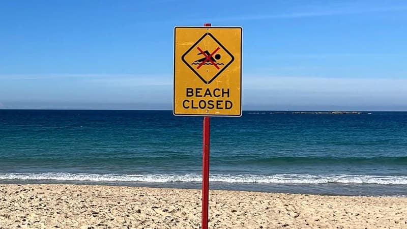 Sydney teacher hit shark with 'left hook' during attack
