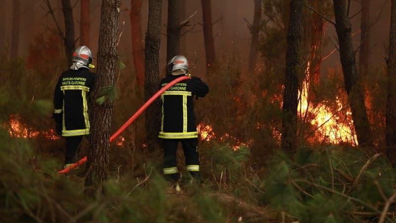 Fire crews tackle blaze close to major nuclear power sites in UK