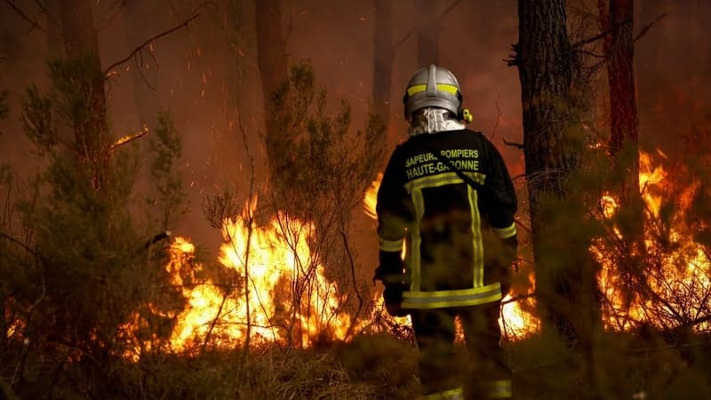 Wildfire response must evolve to keep pace with climate change, EU says