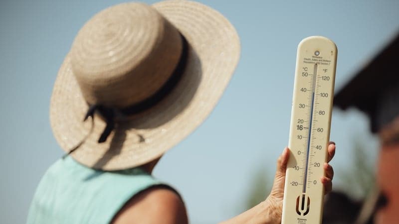 Slovakia hits temperature record for second day running