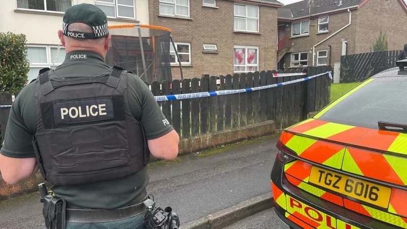 Child remains in hospital after fatal Tyrone attack