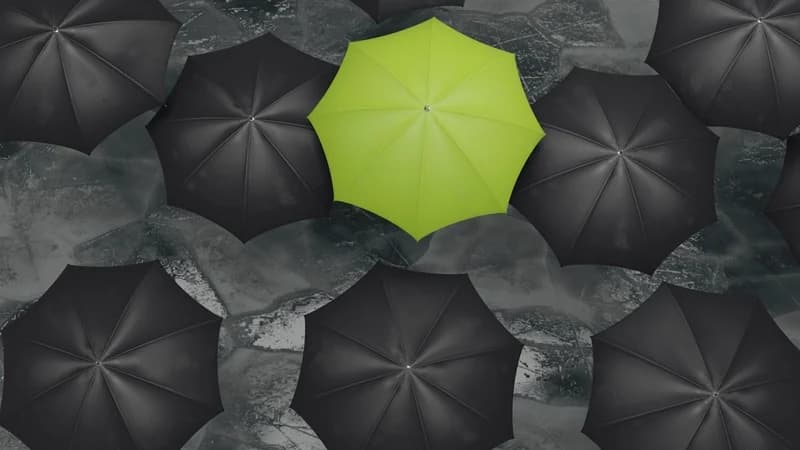Jade and Austen among storm names for 2026-27