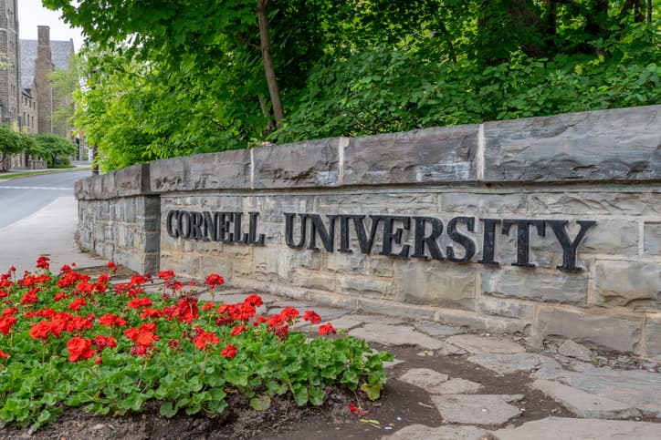 Cornell has a new dorm rule: Don’t butcher bears