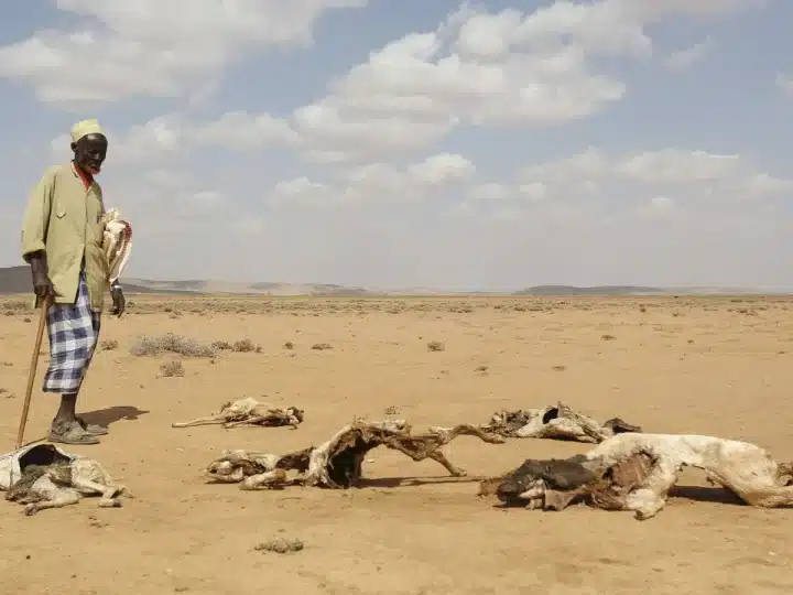 Terrifying climate crisis report predicts 4 Billion Dead by 2050