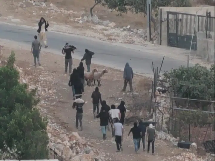 Palestinian couple hospitalised after brutal Israeli settler attack
