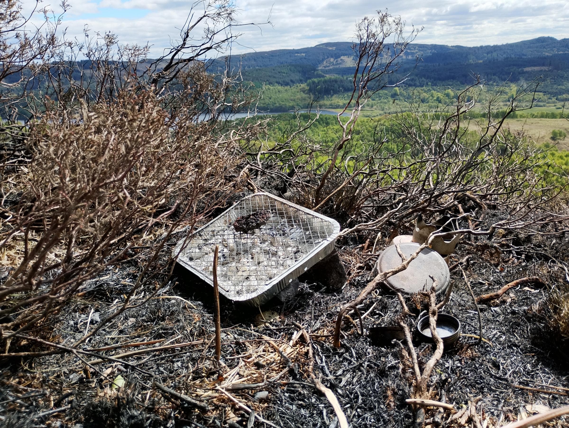 Government issues temporary ban on disposable barbeques amid UK wildfires - ITVX