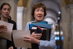 Hang Elon Musk Around Susan Collins' Neck