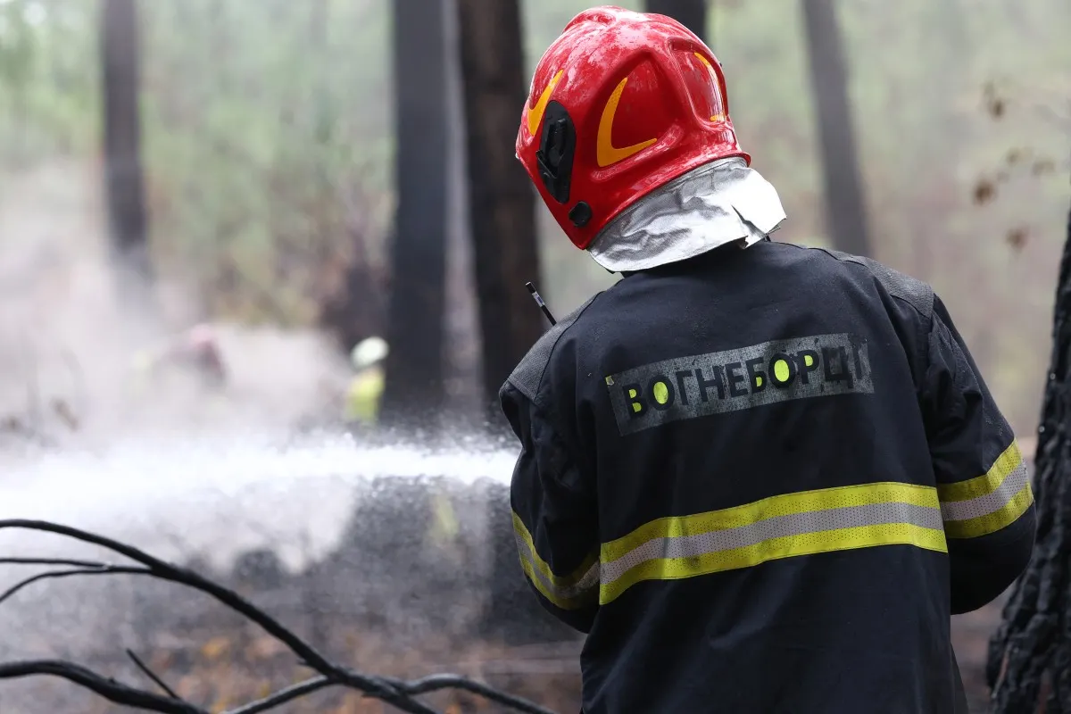 Ukrainian firefighters join battle against France fire