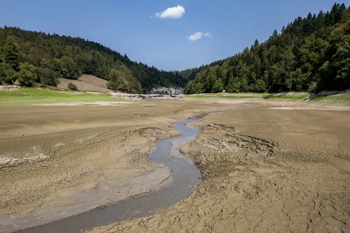 Heatwave and jellyfish: a fifth of French nuclear capacity offline