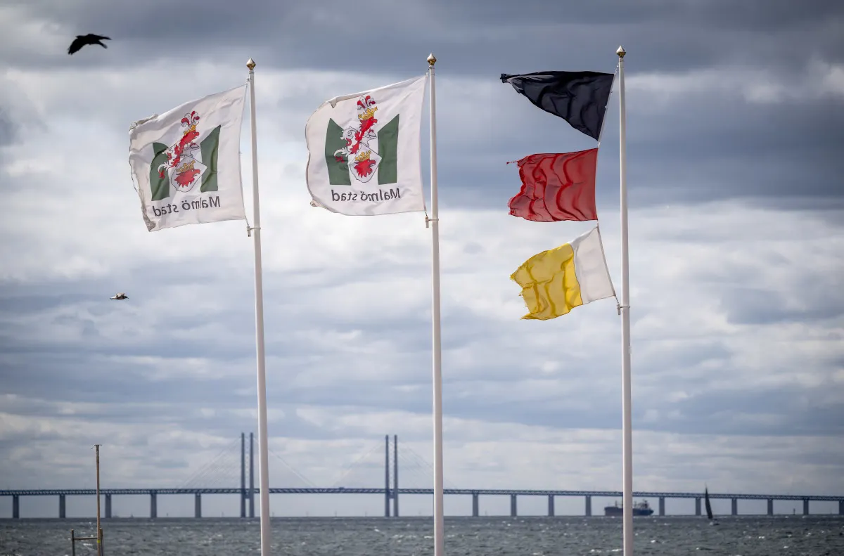 Swimming warning issued in Malmö due to widespread algal bloom