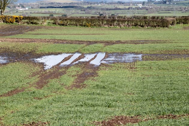 Status Yellow rain warning issued for five counties tomorrow