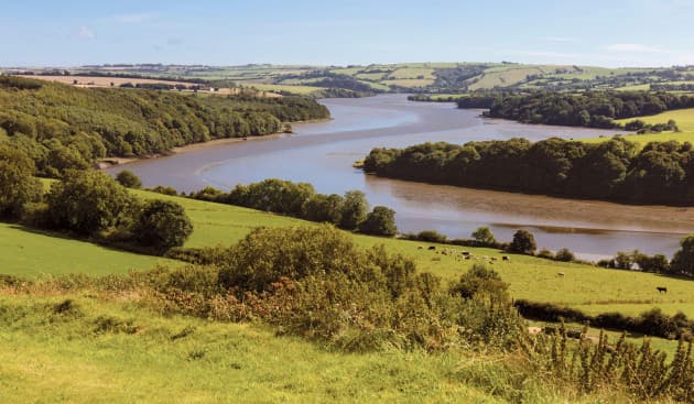 Farmer who died after getting into difficulty in River Bandon is named locally