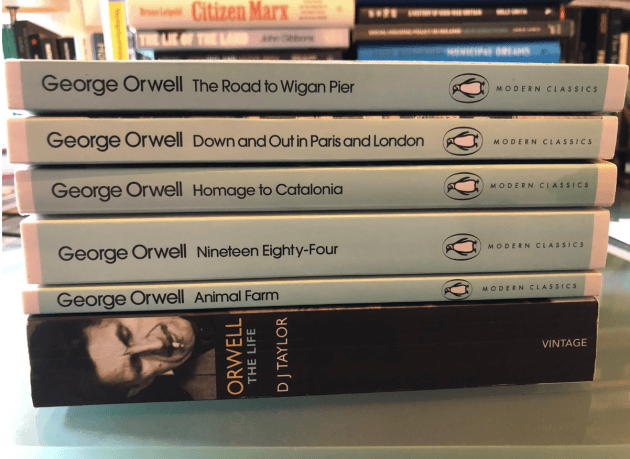 From George Orwell to sci-fi: Here's what Irish politicians are reading over the summer holidays