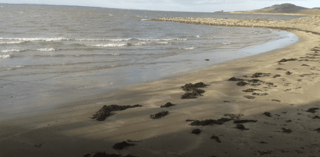 Popular Howth beach joins host of Dublin swimming spots with 'do not swim' notices
