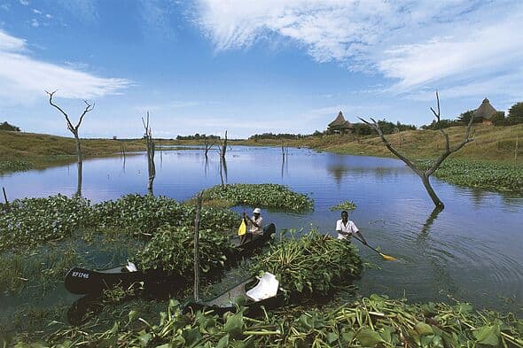 15 dead and 27 missing as ferry capsizes on lake full of crocodiles