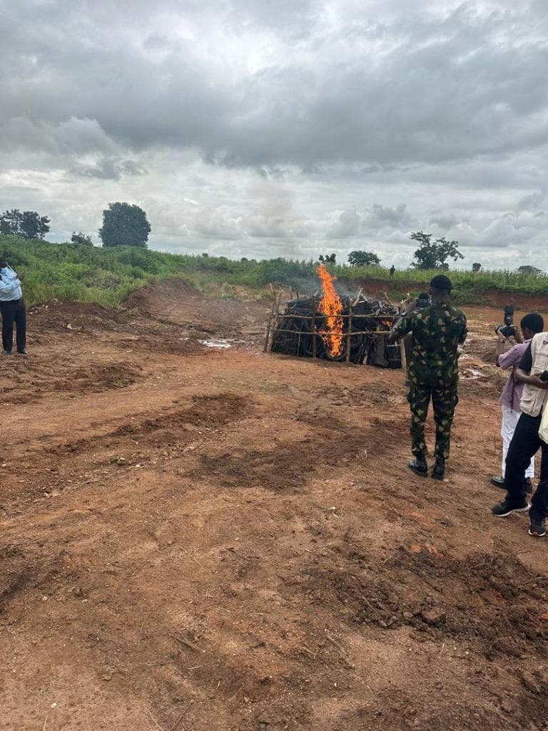 Nigeria destroys 2,819 seized illicit arms in security crackdown